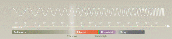 C7CBFBEAB778315D6A7605017C8_10D98ADB_9169