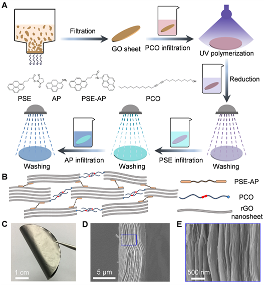 A7F533038B8AC1DEFF734E62F4B_8C7BDDC1_313D3